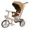 Велосипед триколісный TILLY FLASH T-3812 orange /1/