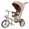 Велосипед триколісний TILLY FLASH T-3812 DARK BEIGE /1/