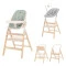Стул для кормления CARRELLO Ergo CRL-16701 elora green /1/