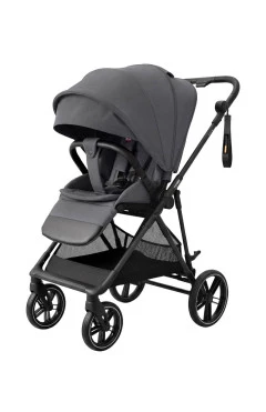 Прогулянкова коляска CARRELLO Extra CRL-6532 chrome grey /1/