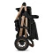 Универсальная коляска 2 в 1 Lionelo AMBER BLACK ONYX, арт. 82220063