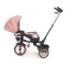Дитячий триколісний велосипед Milly Mally Twinkle pink, арт. MMTW02P