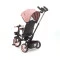 Дитячий триколісний велосипед Milly Mally Twinkle pink, арт. MMTW02P