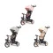 Детский трехколесный велосипед Milly Mally Twinkle grey, арт. MMTW02G