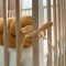 Коса вафля горчица 1,2 м, арт. 11362276 купить в Украине | код товара: 11362276