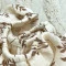 Простыня в коляску муслин веточки акации, арт. 3011778 купить в Украине | код товара: 3011778