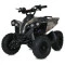 Квадроцикл E-XBW-1200S-13(MP3), арт. 307309