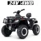 Квадроцикл M 4868EL-1(24V), арт. 277615