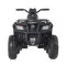 Квадроцикл M 4868EL-1(24V), арт. 277615