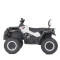 Квадроцикл M 4868EL-1(24V), арт. 277615