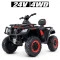 Квадроцикл M 4868EL-3(24V), арт. 277617