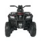 Квадроцикл M 4868EL-3(24V), арт. 277617