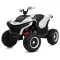 Квадроцикл M 6128EBLR-1(24V), арт. 310282