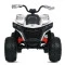 Квадроцикл M 6128EBLR-1(24V), арт. 310282