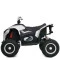 Квадроцикл M 6128EBLR-1(24V), арт. 310282