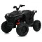 Квадроцикл M 6128EBLR-2(24V), арт. 310283