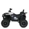 Квадроцикл M 6018EBLR-1, арт. 305726