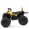 Квадроцикл M 4795EBLR-6, арт. 266080