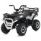 Квадроцикл M 6127EBLR-1(24V), арт. 310277