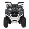 Квадроцикл M 6127EBLR-1(24V), арт. 310277