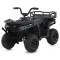 Квадроцикл M 6127EBLR-2(24V), арт. 310278