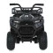 Квадроцикл M 6127EBLR-2(24V), арт. 310278