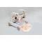 Ходунки - развивающий ковер Beruty Baby Activity beige, арт. S-618B